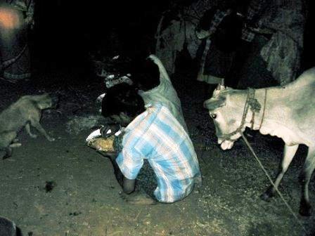 Christmas Dinner Party for the Bull People